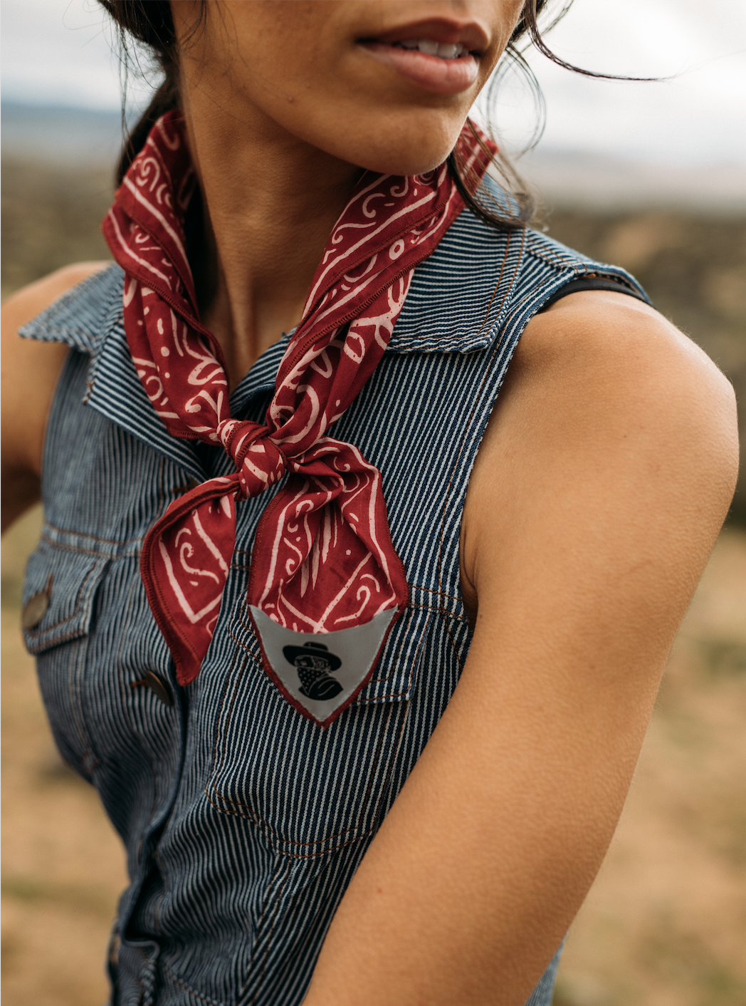 BANDITS Bandanas - "The Good Fight"