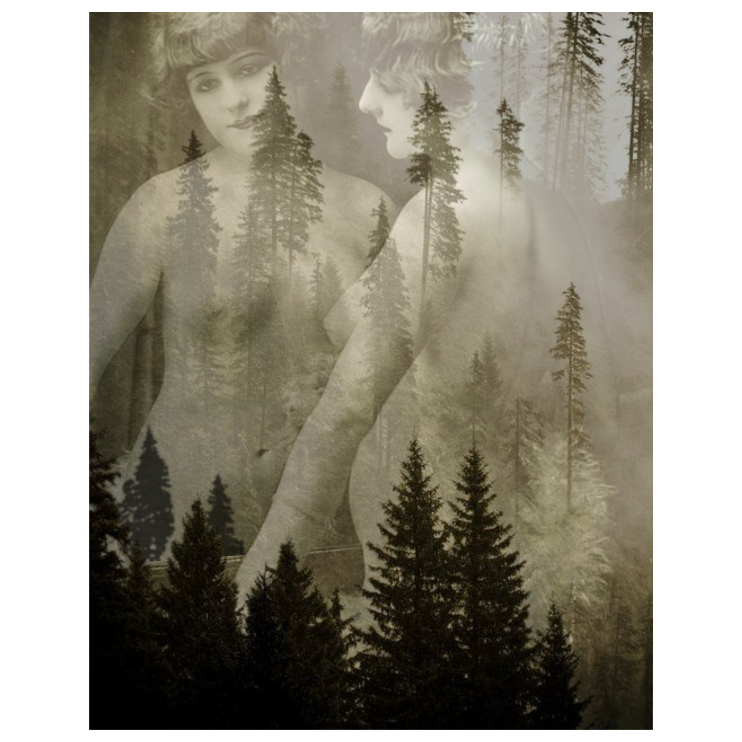 A collage artwork featuring a vintage photograph of a woman gazing into a mirror with a background of misty pine trees and glowing greens, creating a surreal and dreamlike atmosphere.
