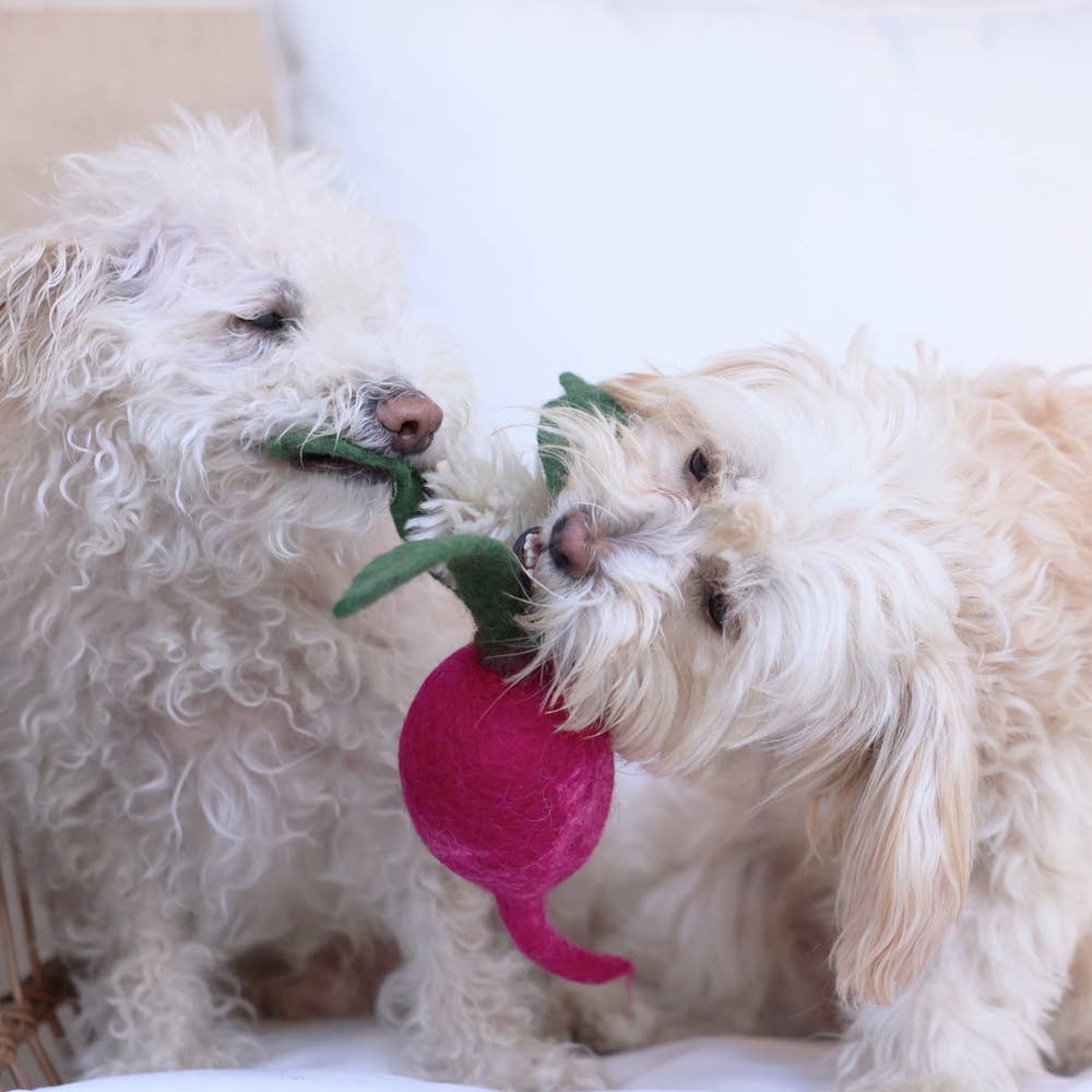 Wool Turnip Dog Toy - Small