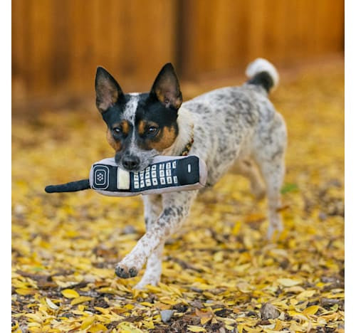 90s Classic - 90’s Are Calling Dog Toy