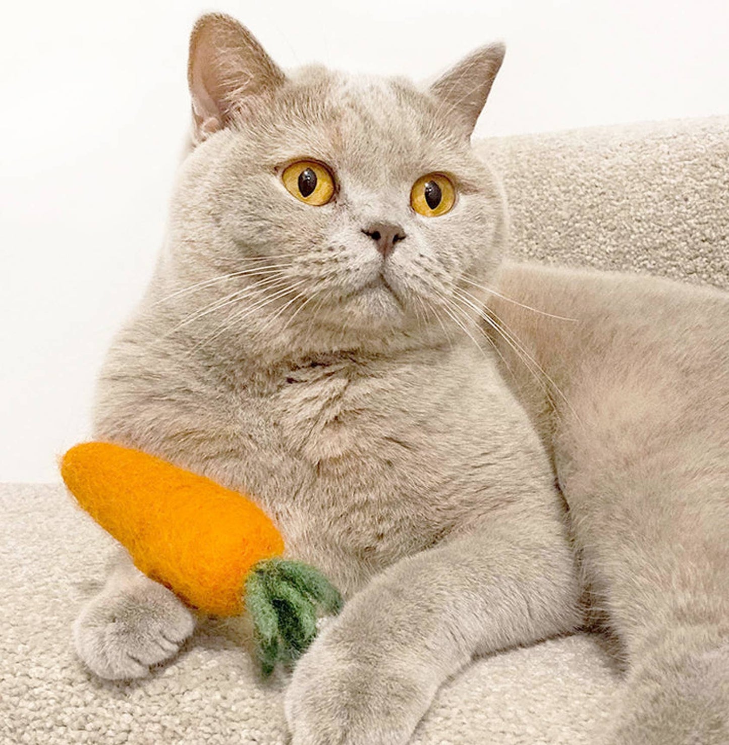 Wool Carrot Pet Toy