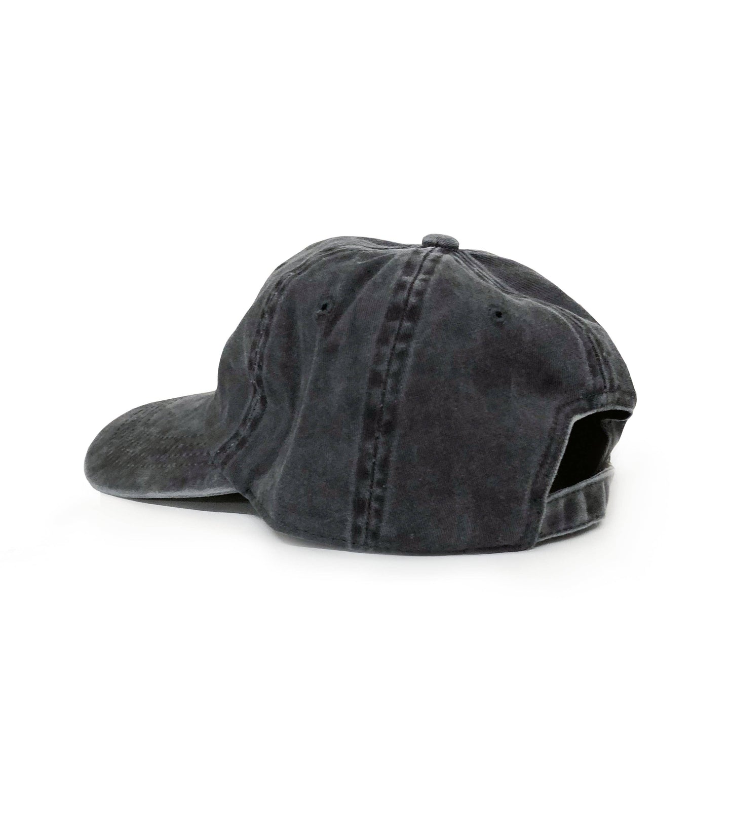 Catalina Wine Mixer Dad Hat