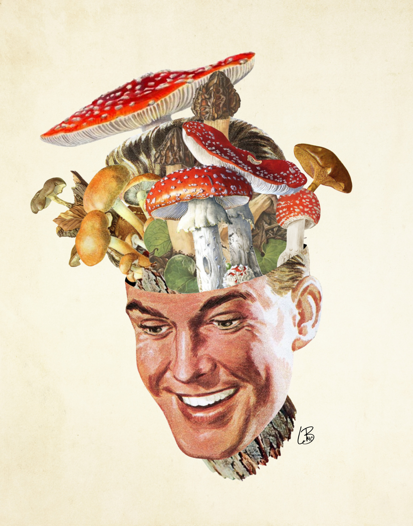 Fun-Guy Print
