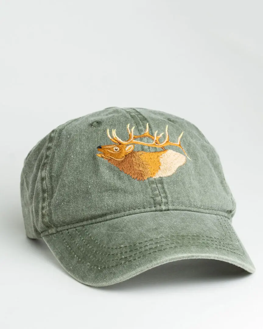 Flora and Fauna Embroidered Hat