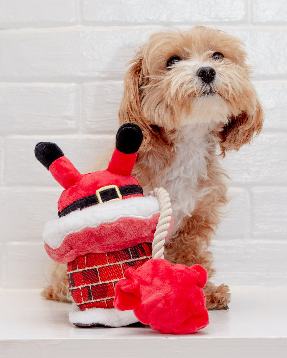 Merry Woofmas - Clumsy Claus Dog Toy