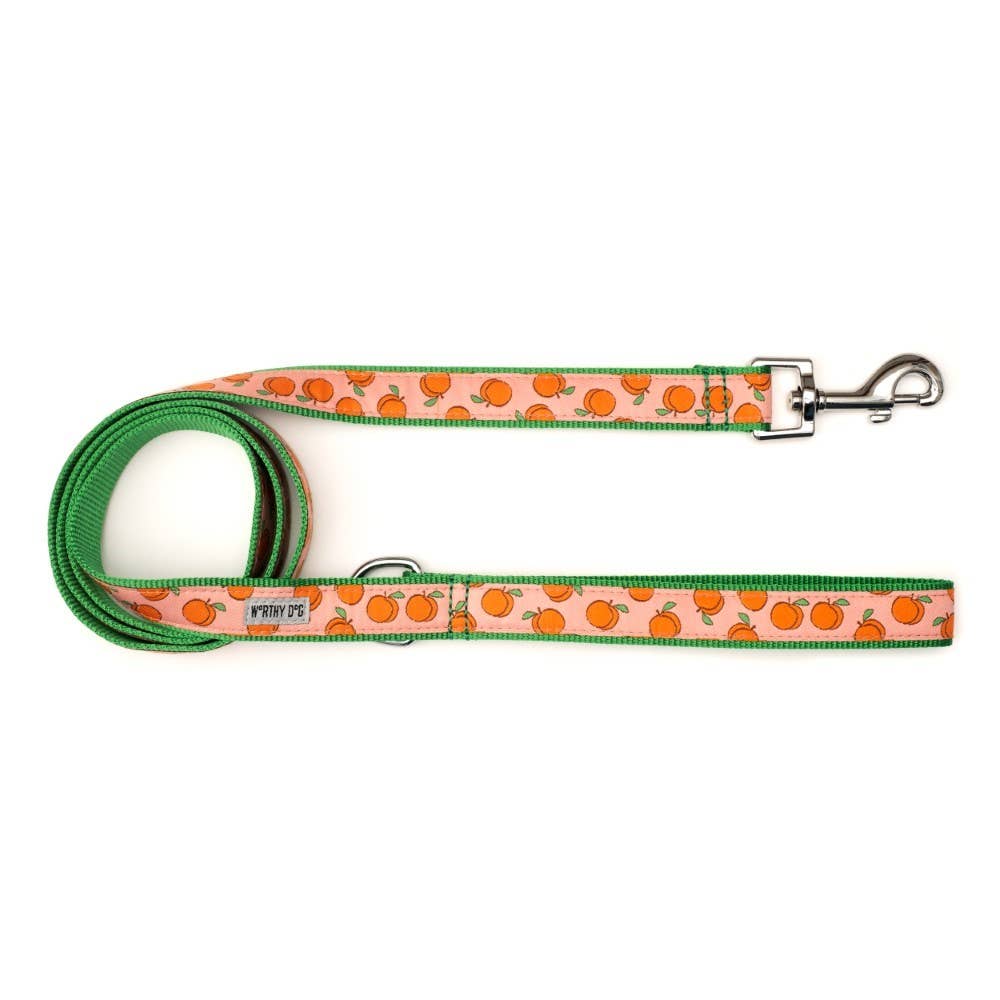 Peachy Keen Leash