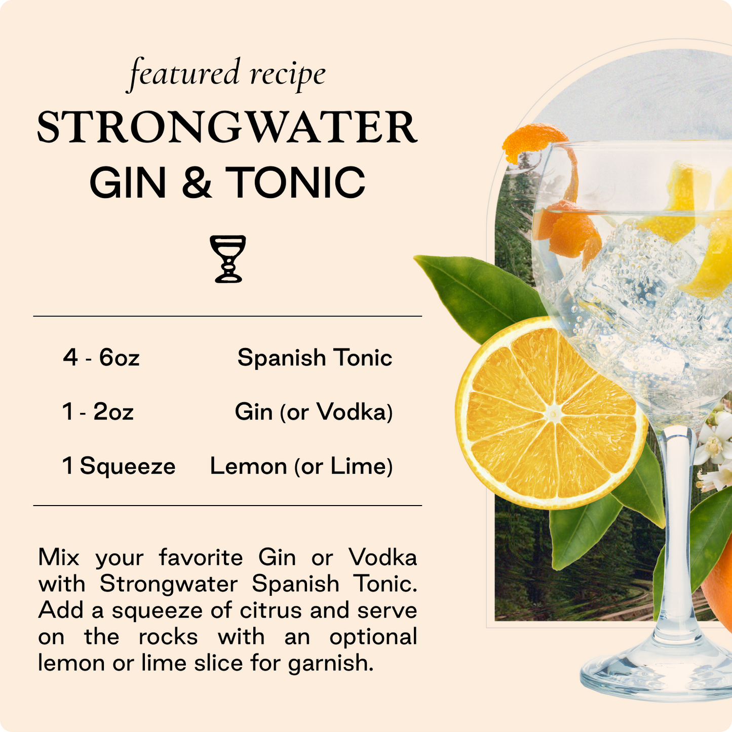 Spanish Tonic - 4 Pack