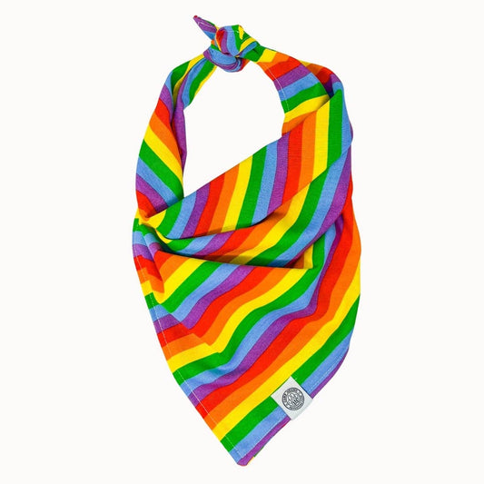 Iris Dog Bandana | Pride Month Rainbow Pet Accessory