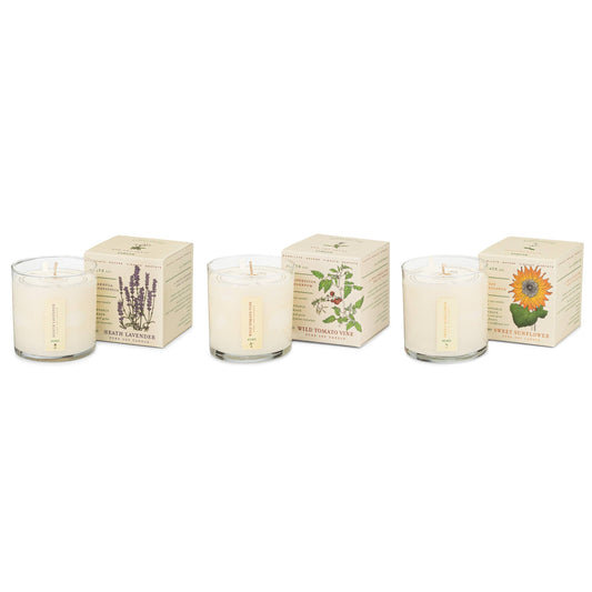 Endless Summer - Plant the Box Votive Candle Trio