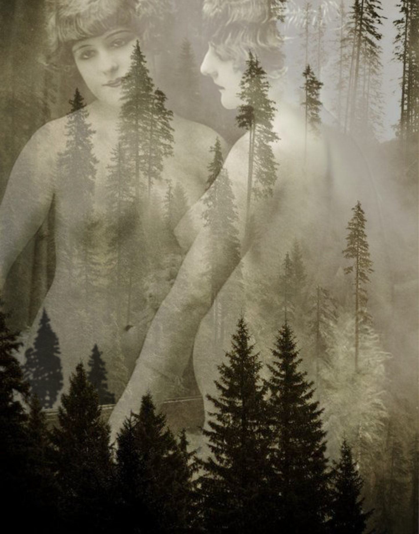 Self-Reflection 