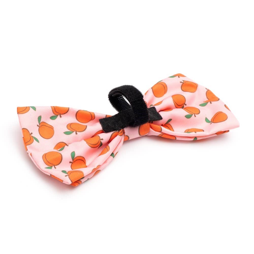 Peachy Keen Pet Bow Tie