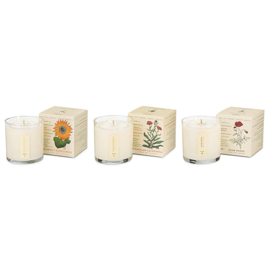 Floral Bouquet - Plant the Box Votive Candle Trio
