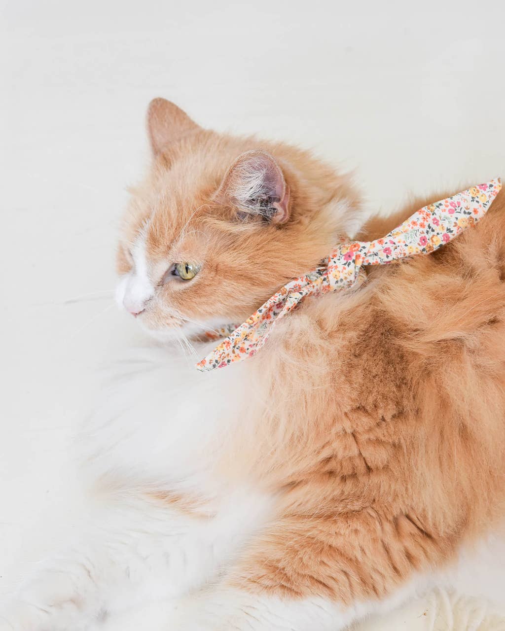 Floral Pet Necktie