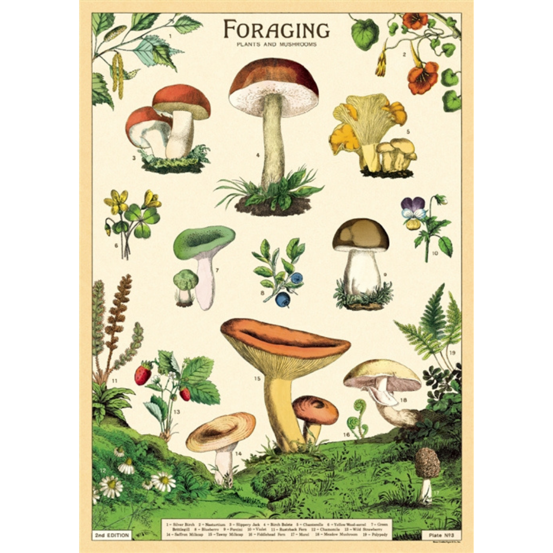 Print/Poster - Forage