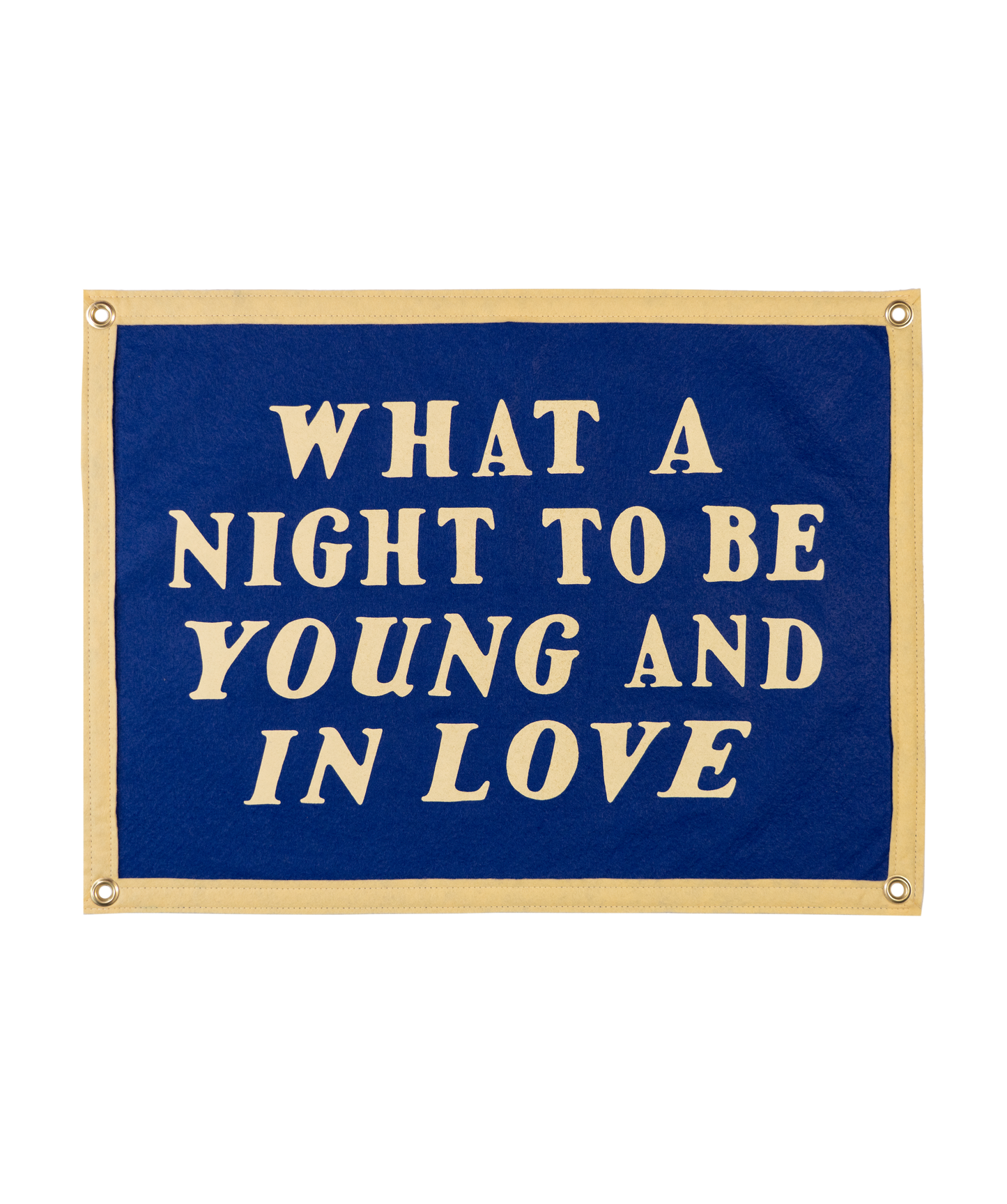 What A Night To Be Young and In Love Camp Flag