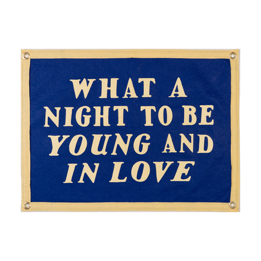 Blue banner with gold text that says 'what a night to be young and in love'
