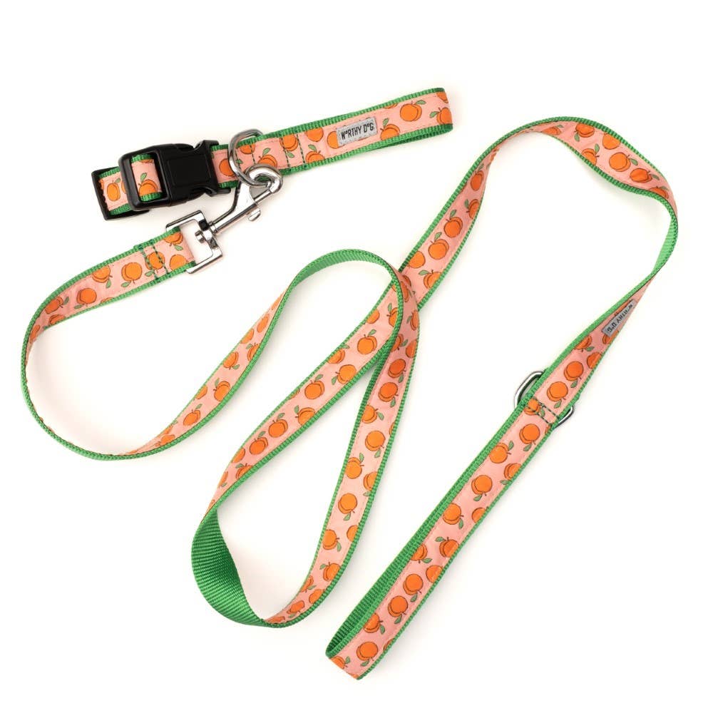 Peachy Keen Leash