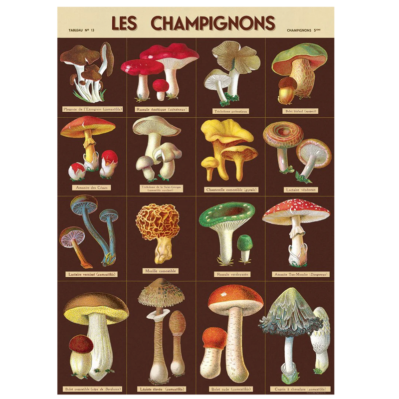 Print/Poster - Les Champignons