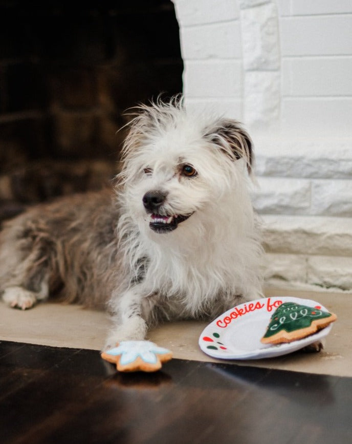 Merry Woofmas - Christmas Eve Cookies Dog Toy