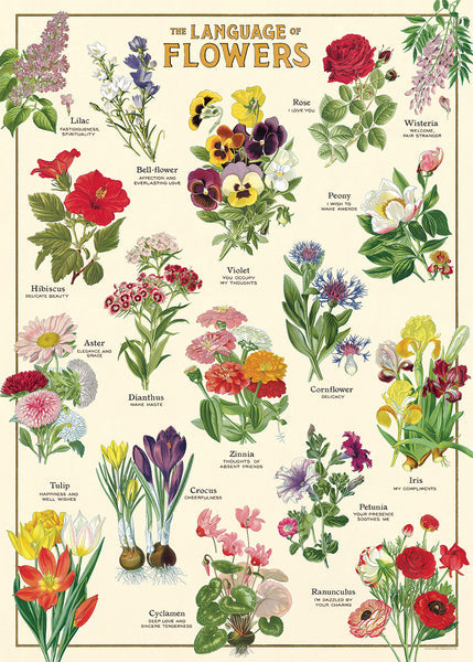 Print/Poster - The Language of Flowers