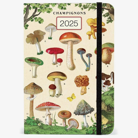 2025 Mushrooms Weekly Planner