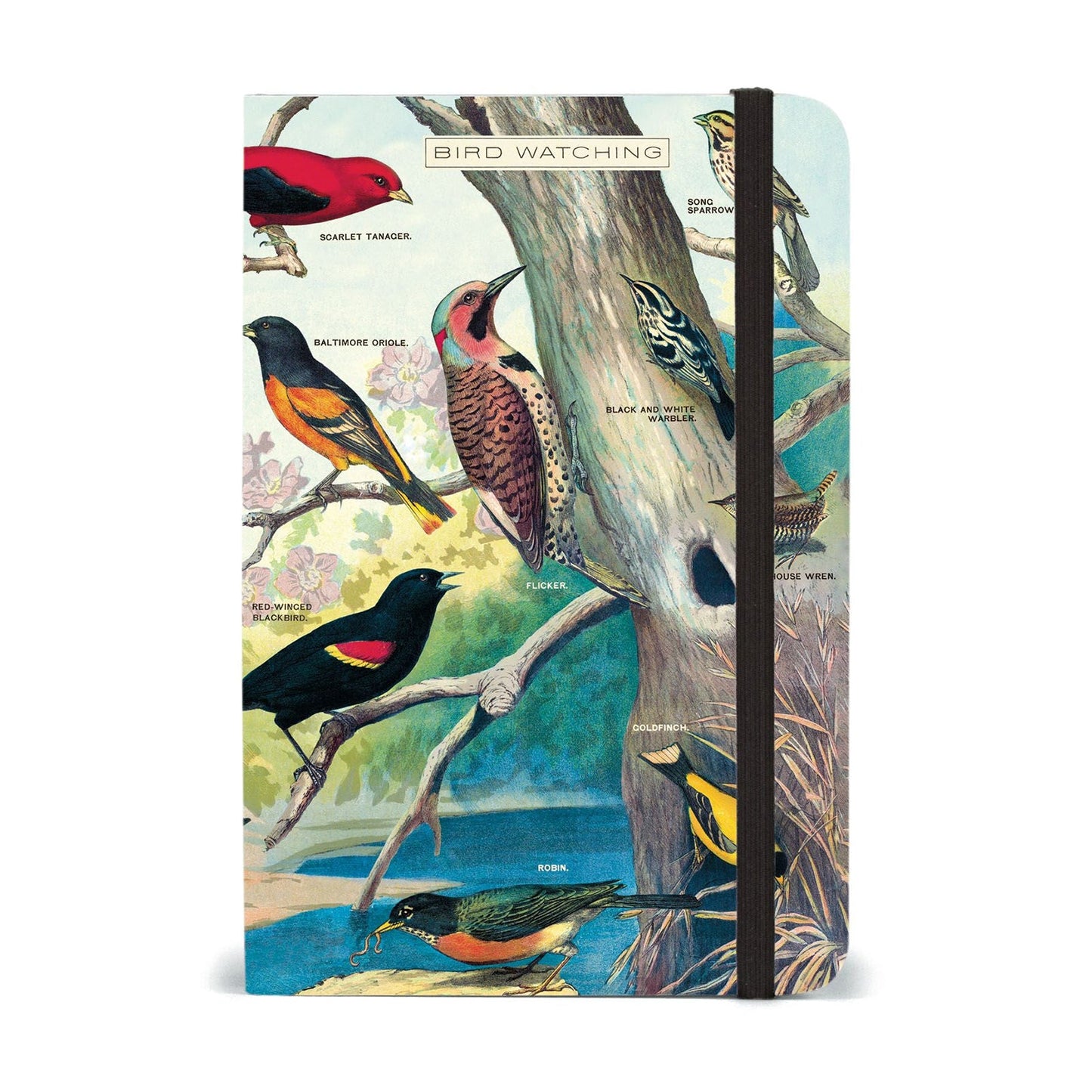 Bird Watching Notebook