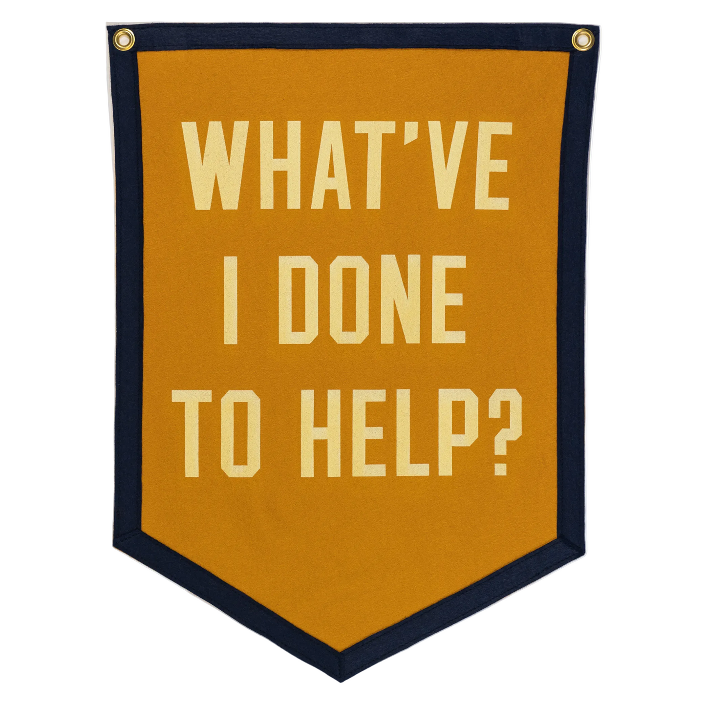 Gold banner with white text 'WHAT'VE I DONE TO HELP?' on a white background