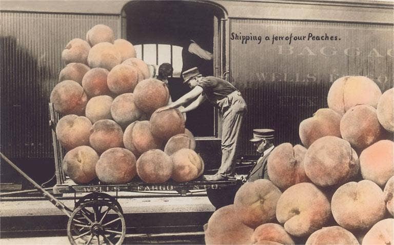 Giant Peaches Art Print