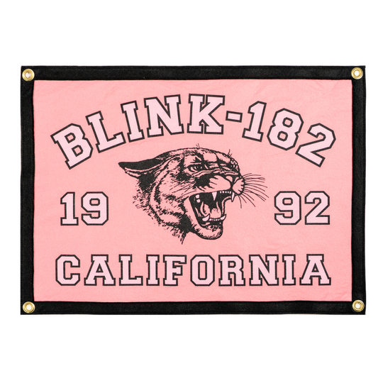 Pink banner with 'Blink-182' logo and text on a white background