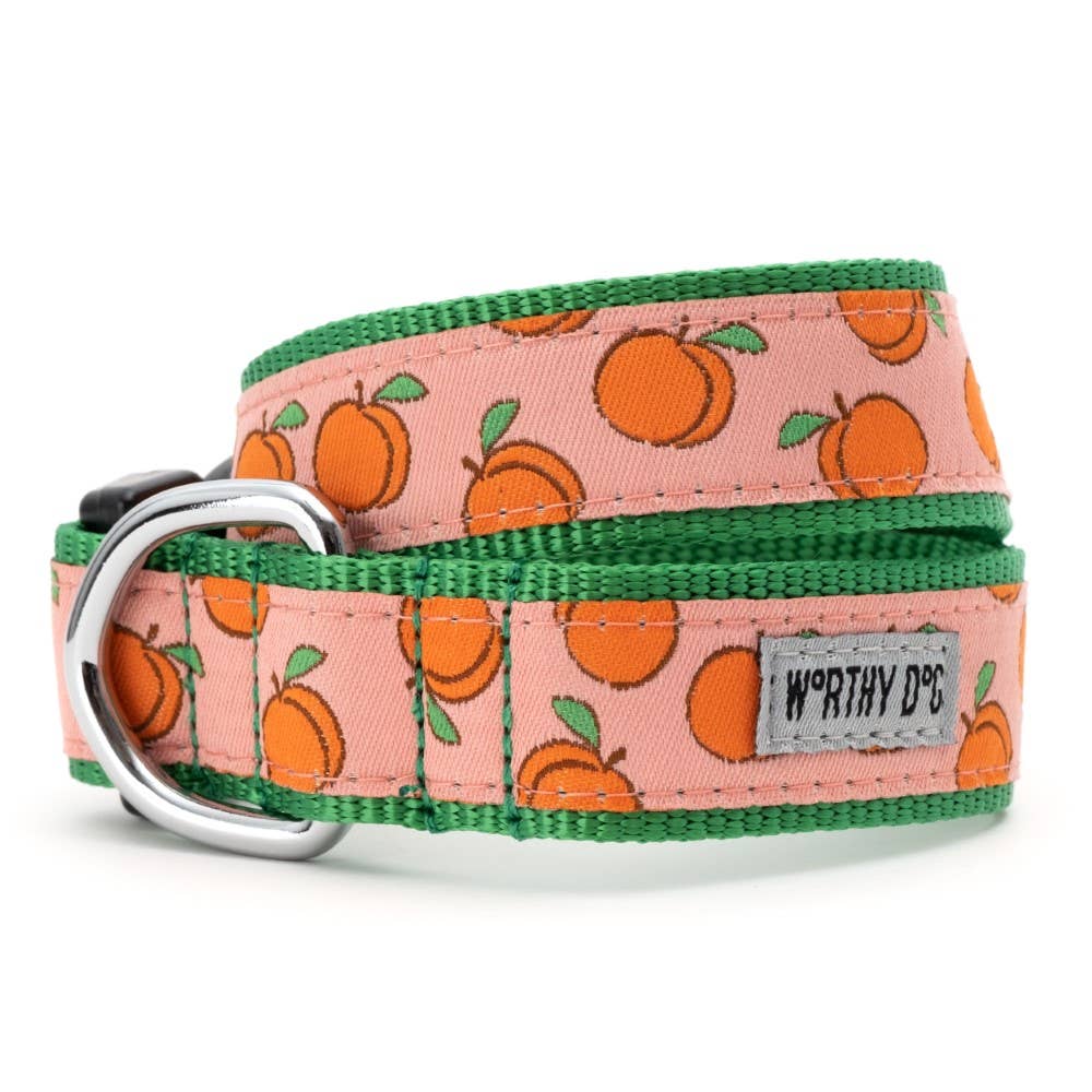 Peachy Keen Dog Collar