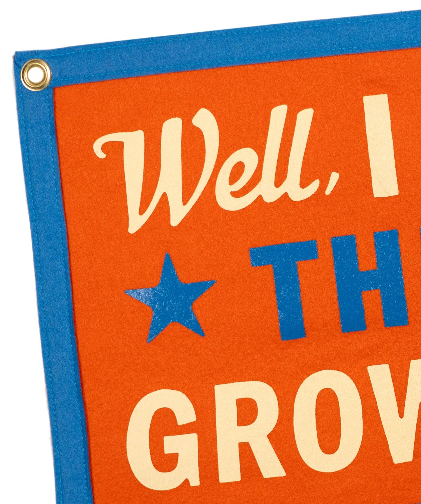 Well, I Guess This Is Growing Up Camp Flag • Blink-182 x Oxford Pennant