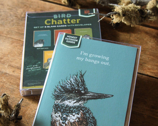 Bird Chatter Greeting Card Box Set