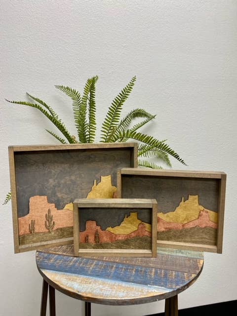 $80 12 x 15 3D Layered Desert Scene with Cactus