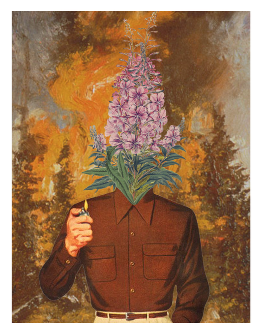 Out Of The Ashes Print